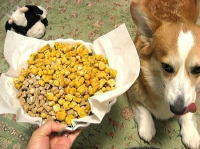 �p�p�a����N�b�L�[