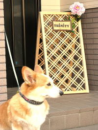 �p�p�a�A���v�H